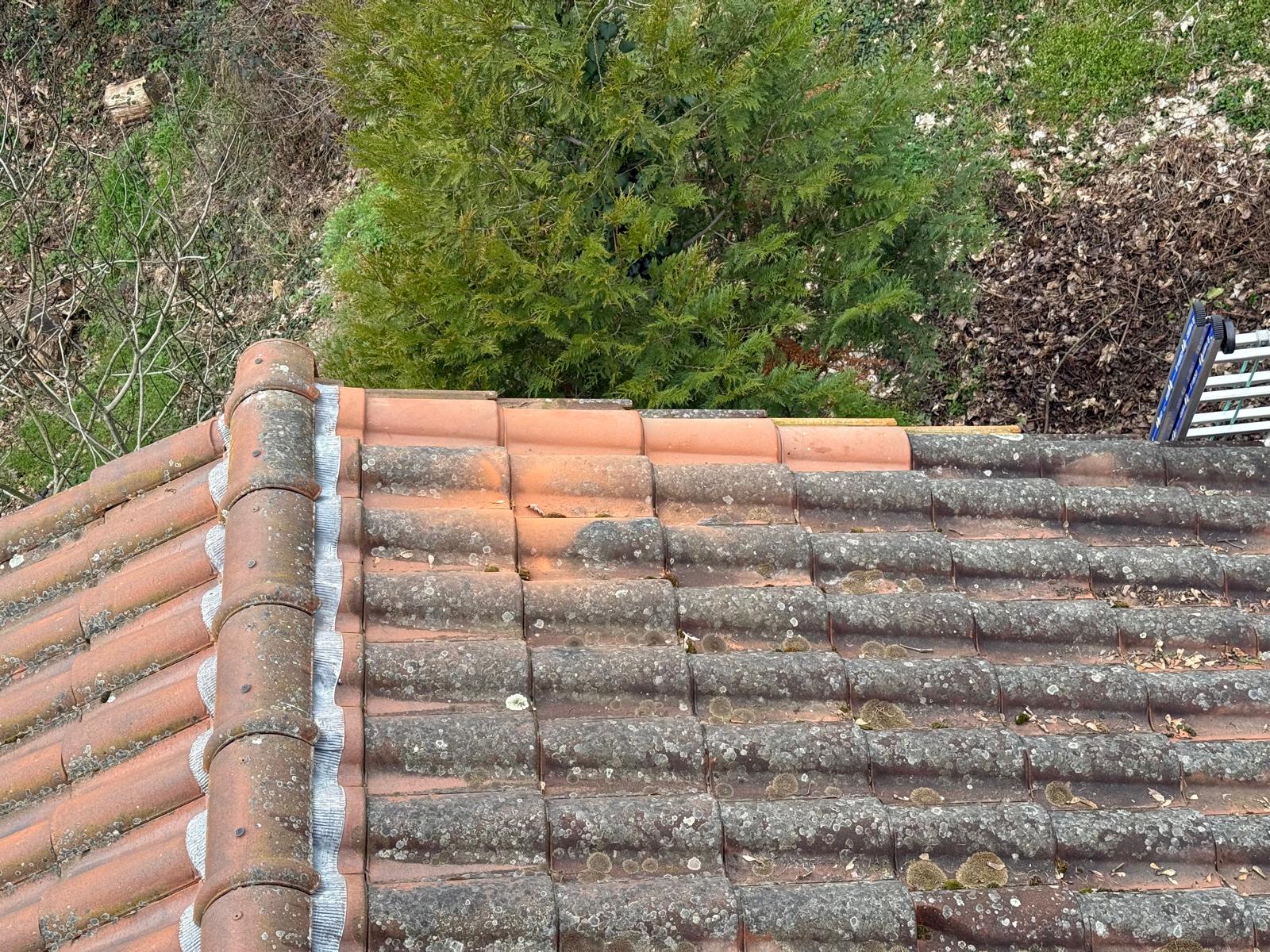 Velux Loire Atlantique